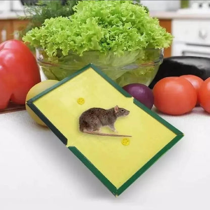 Mouse Glue Trap - Mouse Glue Board - Rat Killer Trap -Rat Killer Glue Book (Pack Of 12)